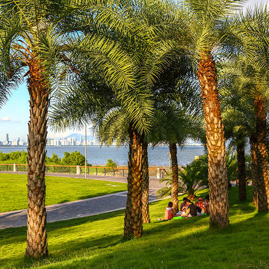 深圳灣公園綜合管理服務項目