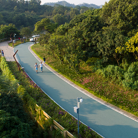 龍華新區(qū)環(huán)城綠道建設項目（大水坑段）—勘察、設計、施工項目總承包（EPC）
