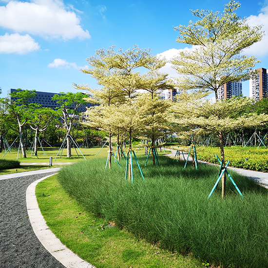 深圳地鐵前海車輛段上蓋物業(yè)項目 8、9 號地塊園林景觀工程